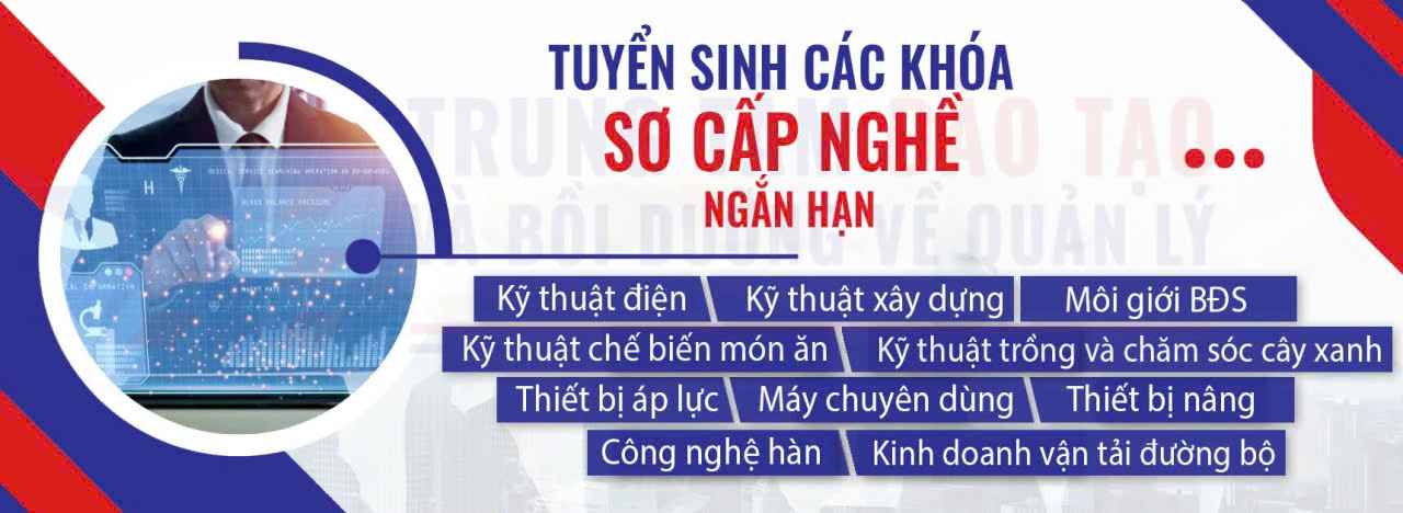 bach-viet